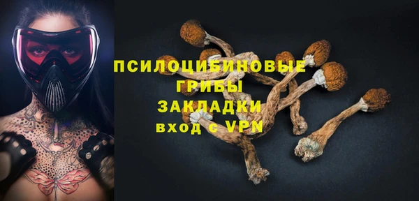 твердый Балахна